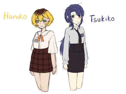 MC & LI design of MSMKIASS